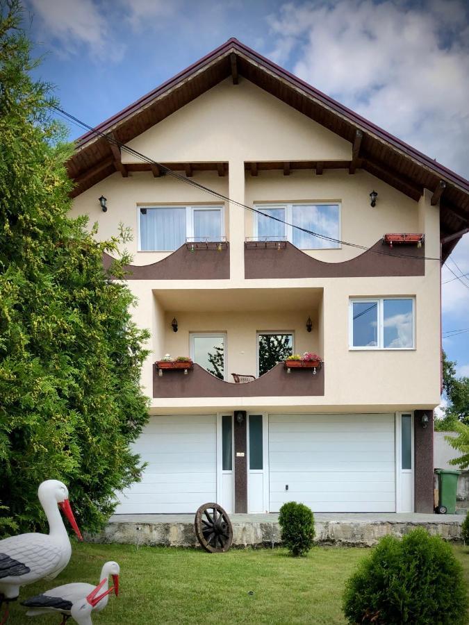 Milostea Casa Paunescu מראה חיצוני תמונה